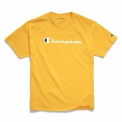 Champion Mens Classic Jersey Graphic S/S Tshirt 20 Champion Mens Classic Jersey Graphic S/S Tshirt -Running Shop gt23h y07718 cham gol