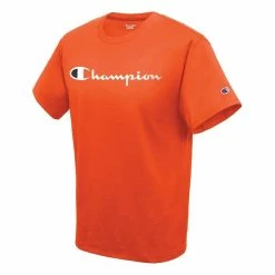 Champion Mens Classic Jersey Graphic S/S Tshirt 26 Champion Mens Classic Jersey Graphic S/S Tshirt -Running Shop gt23h y07718 cham ora