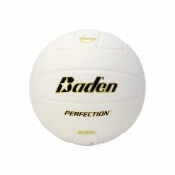 Baden Perfection Leather Volleyball