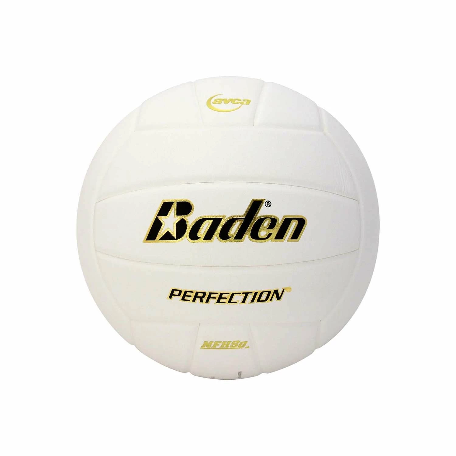 Baden Perfection Leather Volleyball 1 Baden Perfection Leather Volleyball